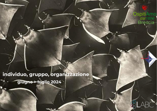 20240321-LABC-formazione-brescia-individuo-gruppo-organizzazione